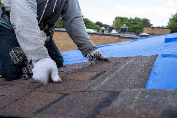 Best Roof Gutter Cleaning  in Lithonia, GA
