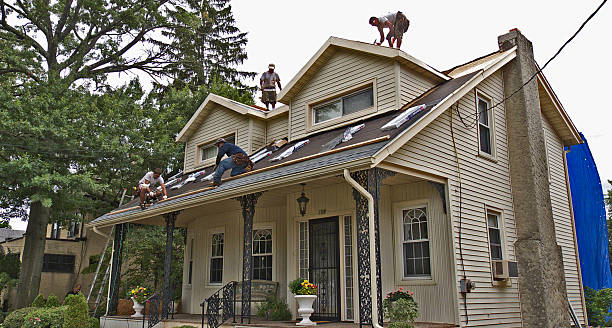 Best Roof Gutter Cleaning  in Lithonia, GA
